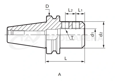 BT40-SLA25-100 Патрон для концевых фрез (Weldon) NICHE фото