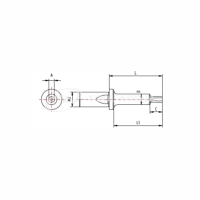 BRIGHETTI G12A-E-7-L60INOX PLUS Прошивка тип G12A (удлиненная L=60 мм), шестигранная ф7 мм, INOX PLUS фото