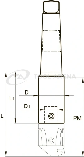 Оправка для расточных блоков, типоразмер 100/200, глубина расточки 260 мм, хвостовик Морзе 5 (с лапкой) DIN 1806, 305100260 фото