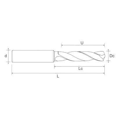 60.6003.0610 Сверло твердосплавное D6,1 3XD DRILLANT Helion